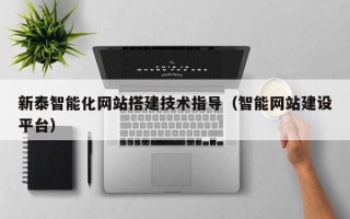 偃师新泰智能化网站搭建技术指导（智能网站建设平台）