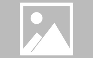 偃师搭建网站招聘信息（网站制作 招聘）